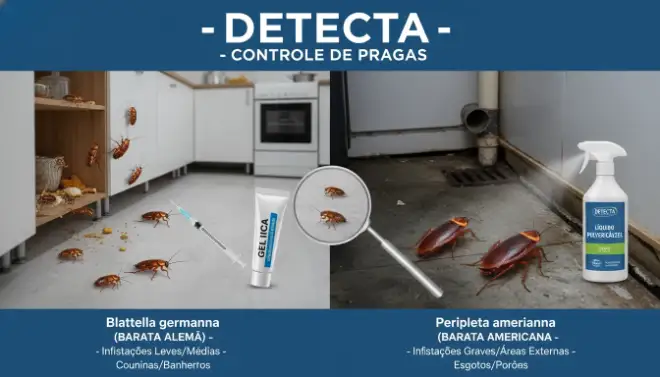 O custo da dedetização contra baratas varia conforme a espécie e o método de controle utilizado