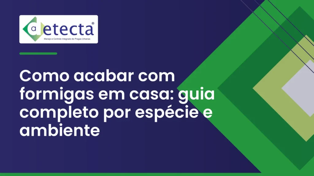 Capa do artigo sobre como acabar com formigas em casa.
