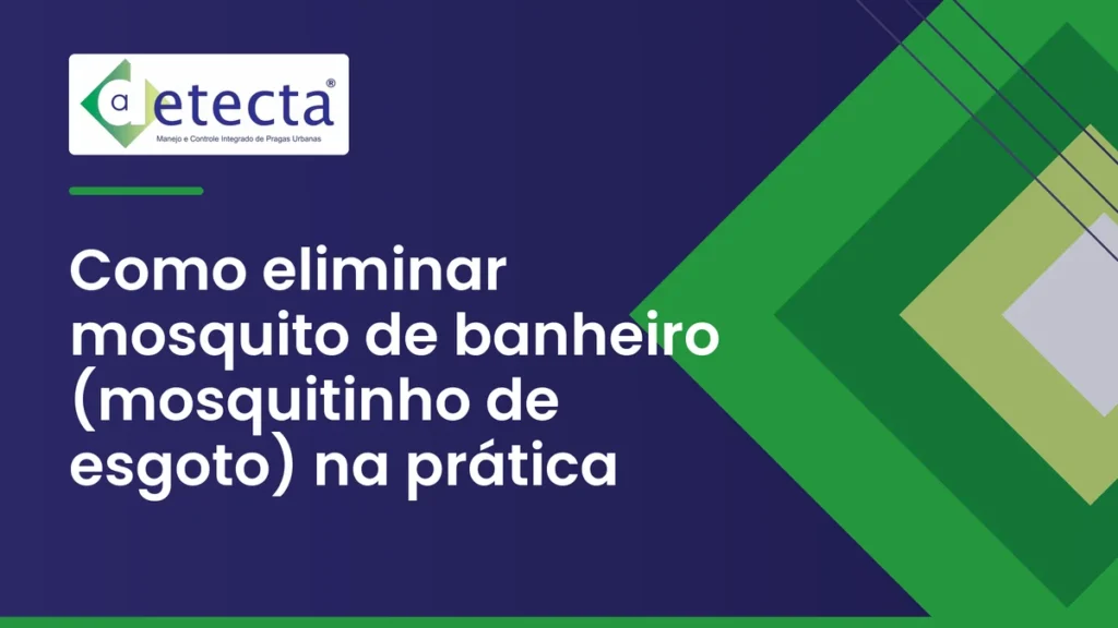 Capa do artigo sobre como eliminar mosquito de banheiro (mosquitinho de esgoto) na prática.