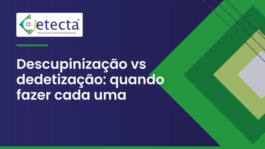 Capa do artigo sobre descupinização vs dedetização.